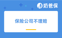 保险公司不理赔怎么办？该如何维护自己的权益？