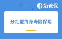 9月，分红型终身寿险保险有哪些产品可以买？